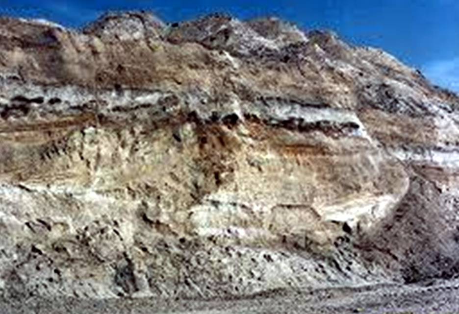 Florida Shell Quarry
